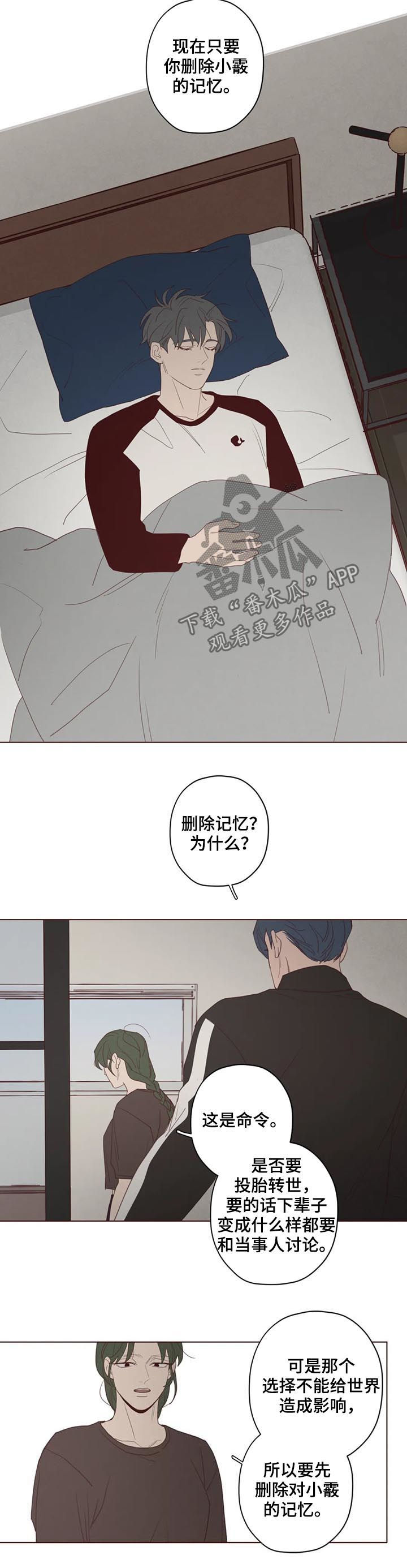 第118章：计划2