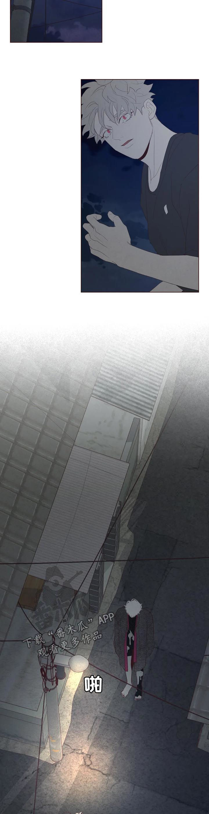 第122章：不详之人13