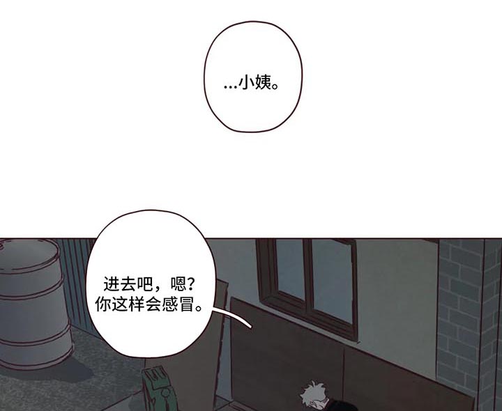 第83章：小姨之死0