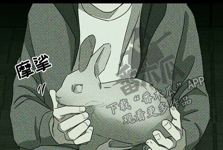 第51章：我的兔子10