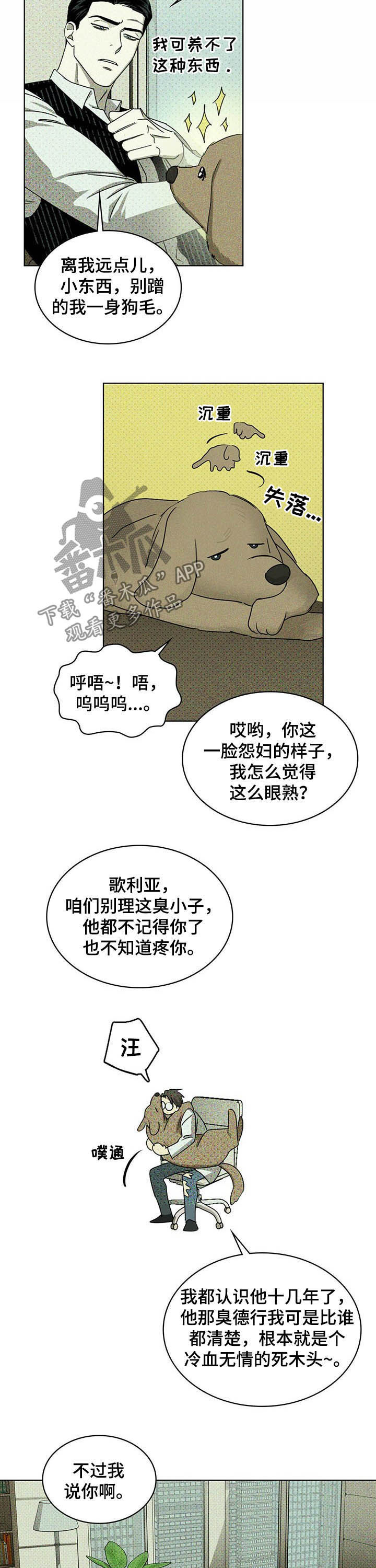 第48章：治疗9
