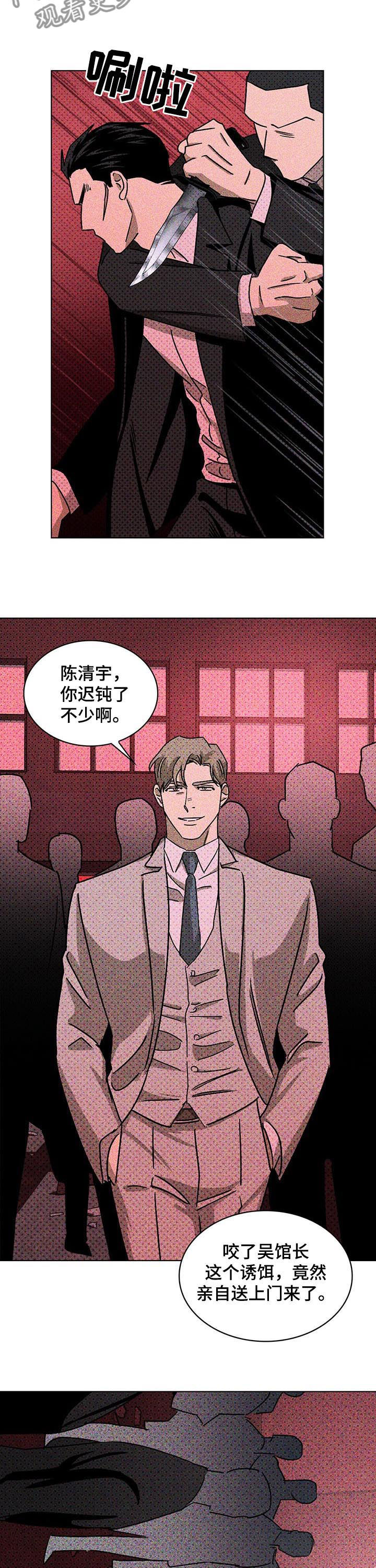 第31章：诱饵12