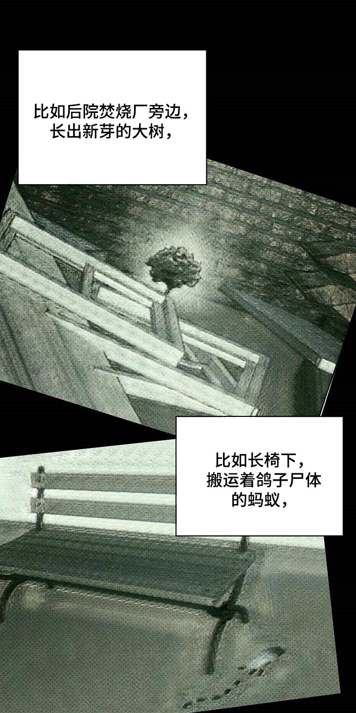 第74章：不质疑不后悔9