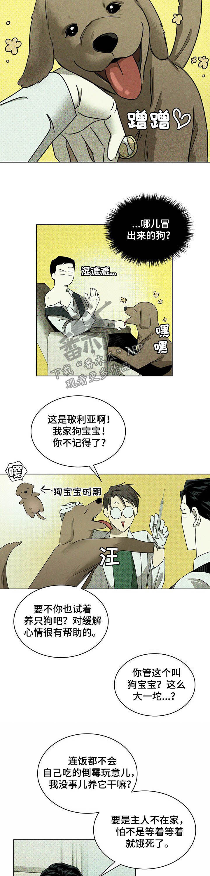 第48章：治疗8