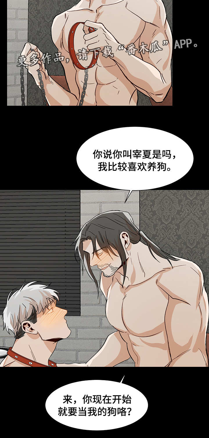 第34章：更进一步5