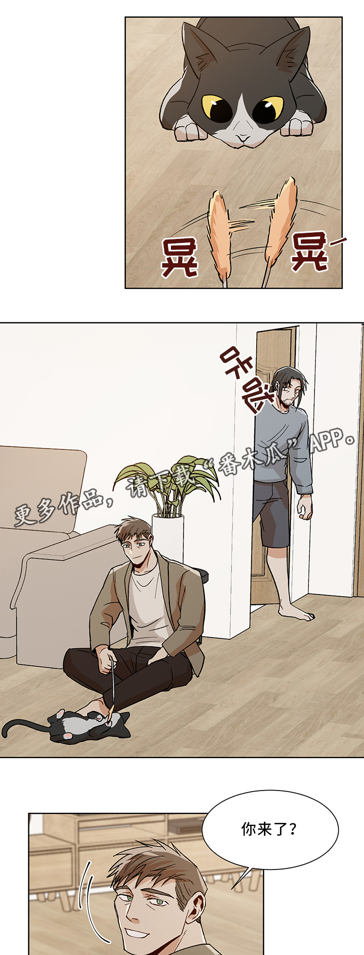 第45章：魅力8