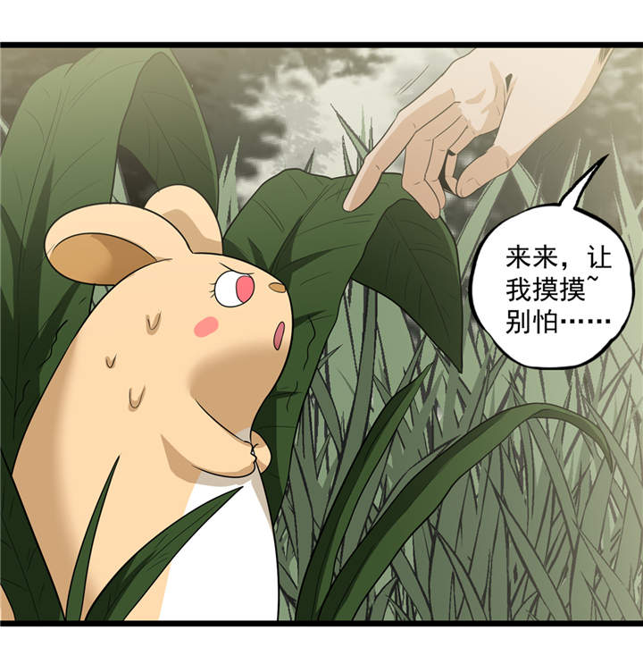 第40章：蠕鼠20