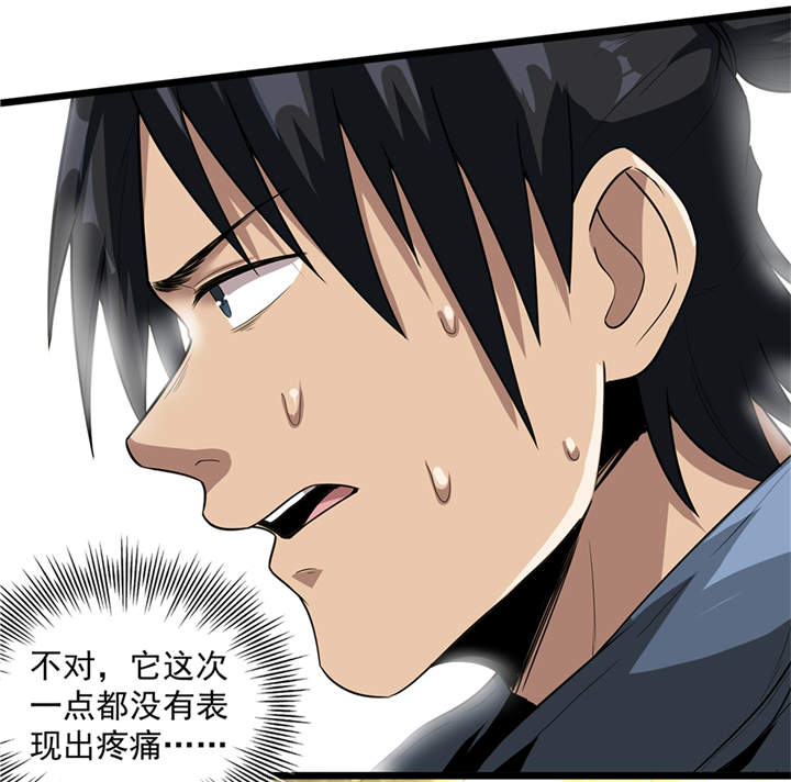 第45章：出现了！25