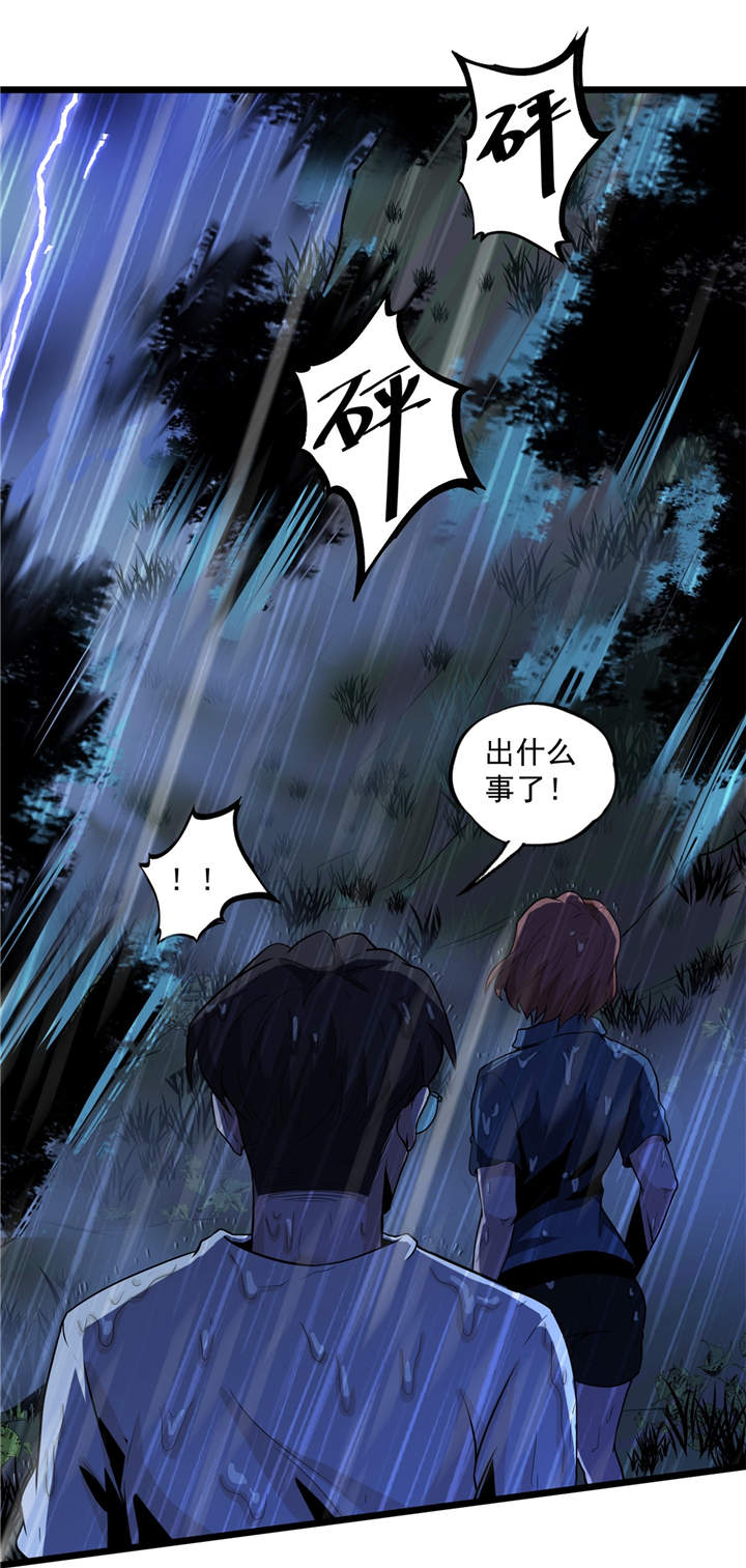 第41章：遇袭11