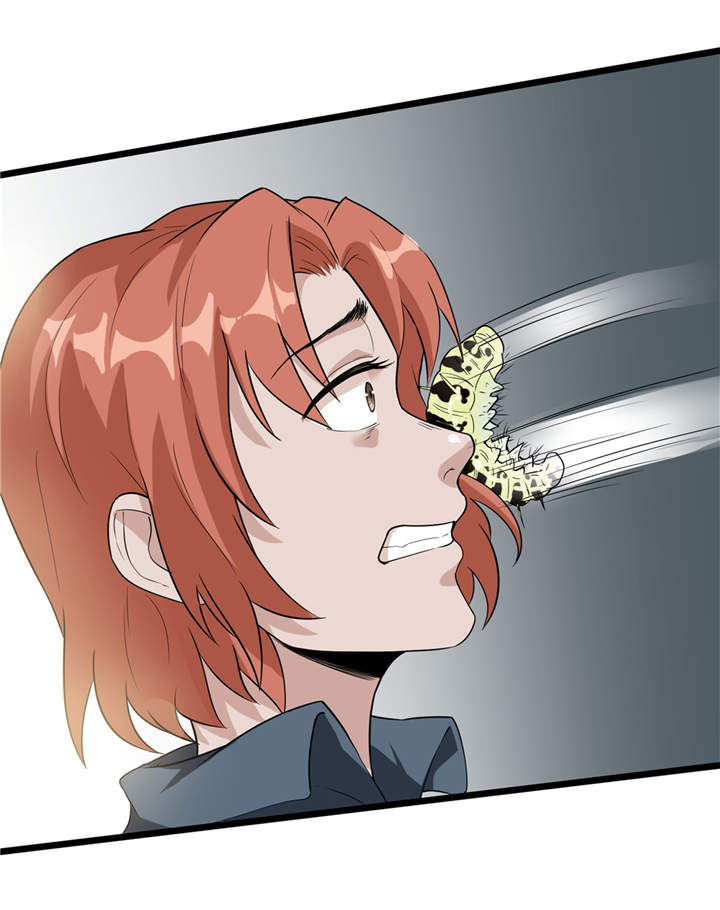 第48章：天烙蠕虫13