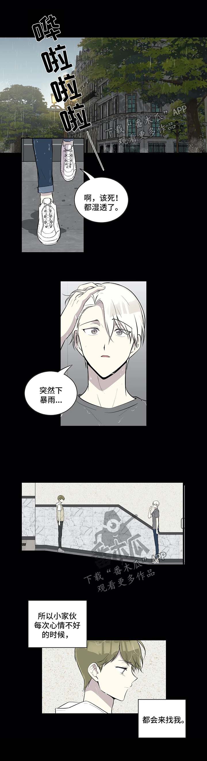 第82章：很傻的小家伙4