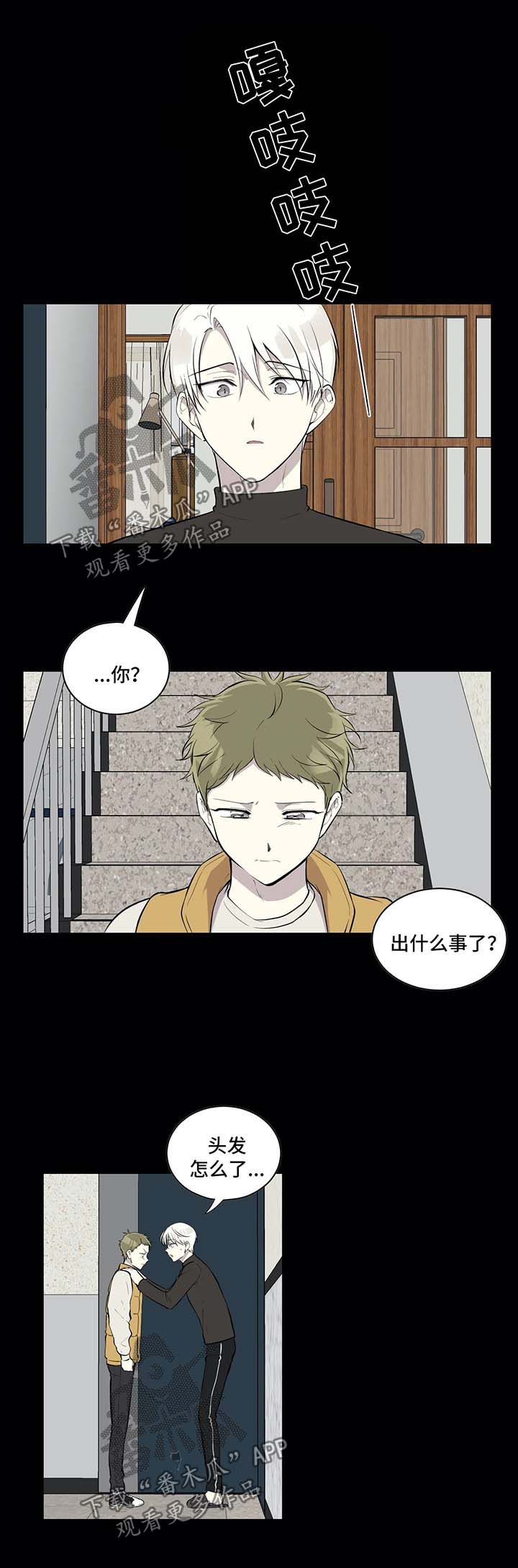 第83章：报复1