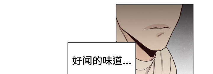 第12章：嘲讽0