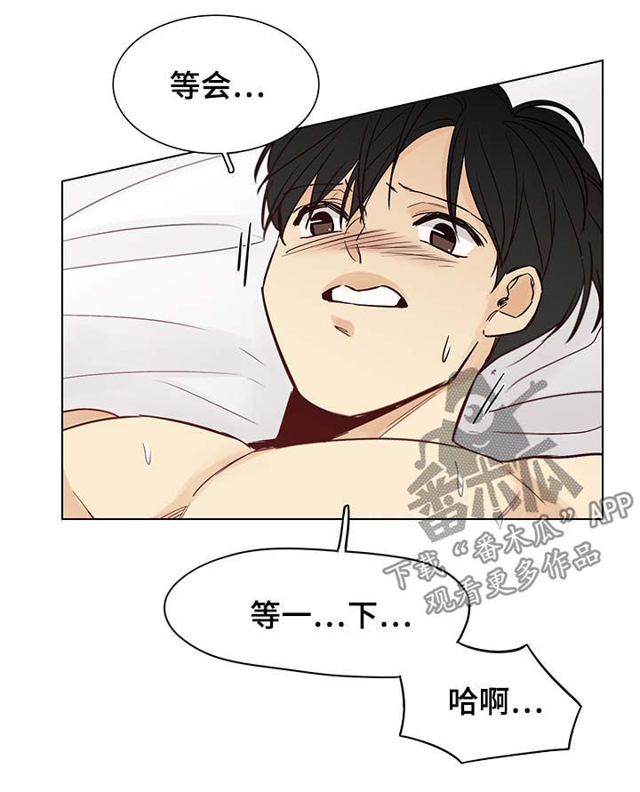 第97章：后记：出身之谜9