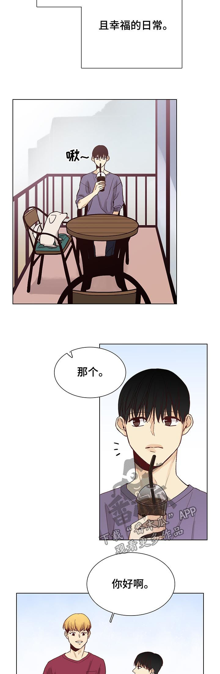 第95章：后记：和平切幸福7
