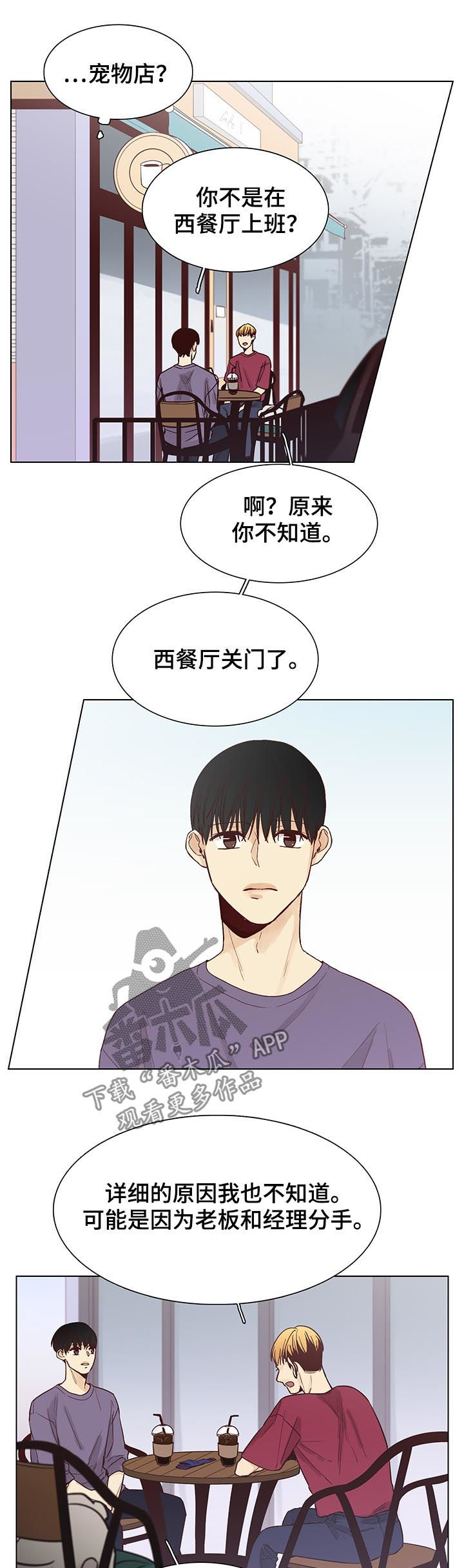 第95章：后记：和平切幸福10