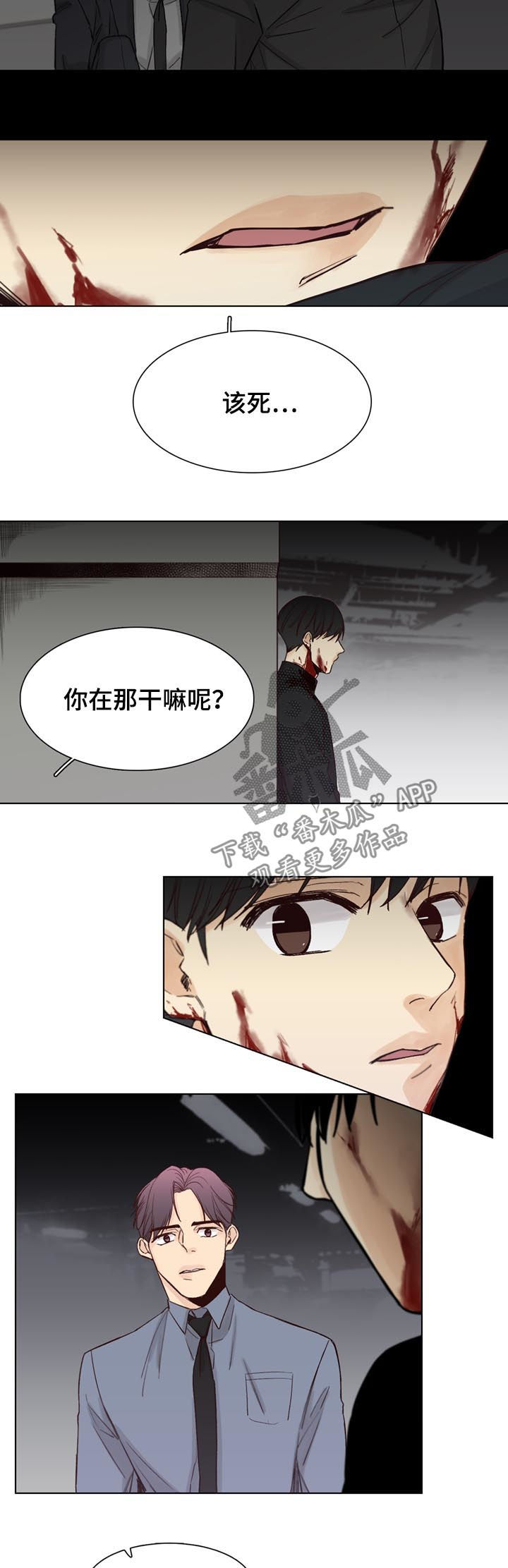 第62章：【第二季】谚语2