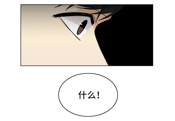 第13章：惊讶14