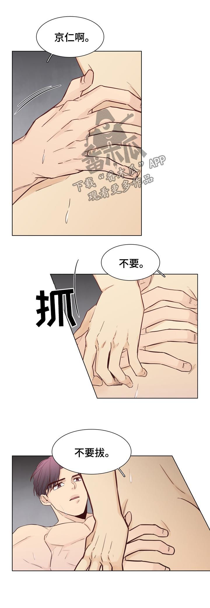 第50章：【第二季】规则8