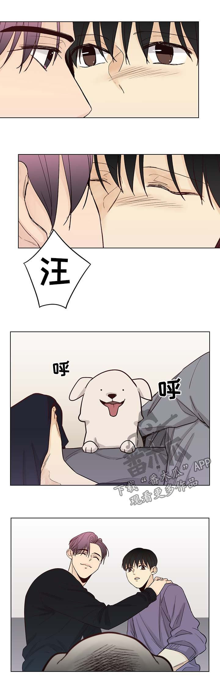第97章：后记：出身之谜4