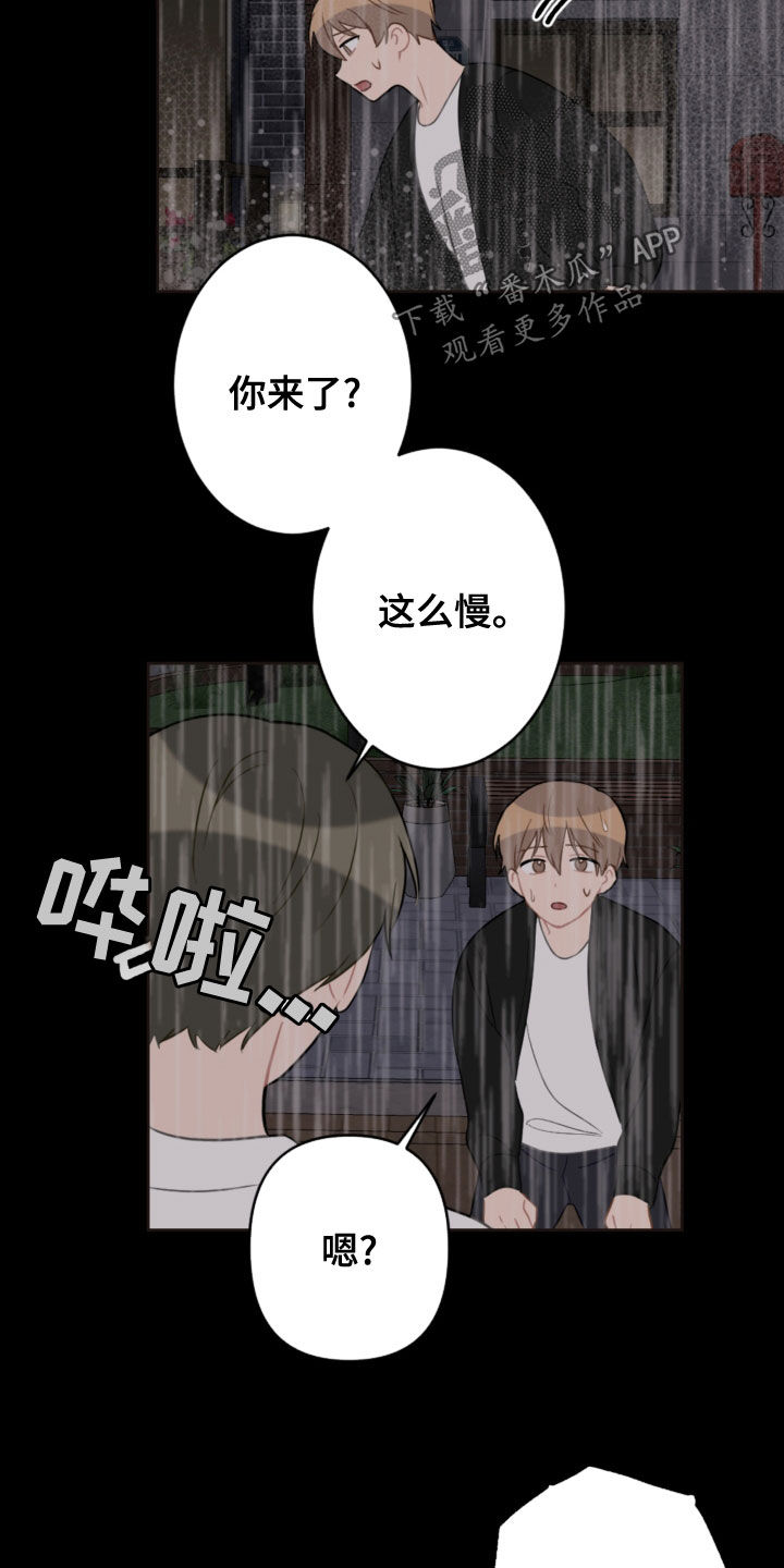 第117章：救助狗狗5