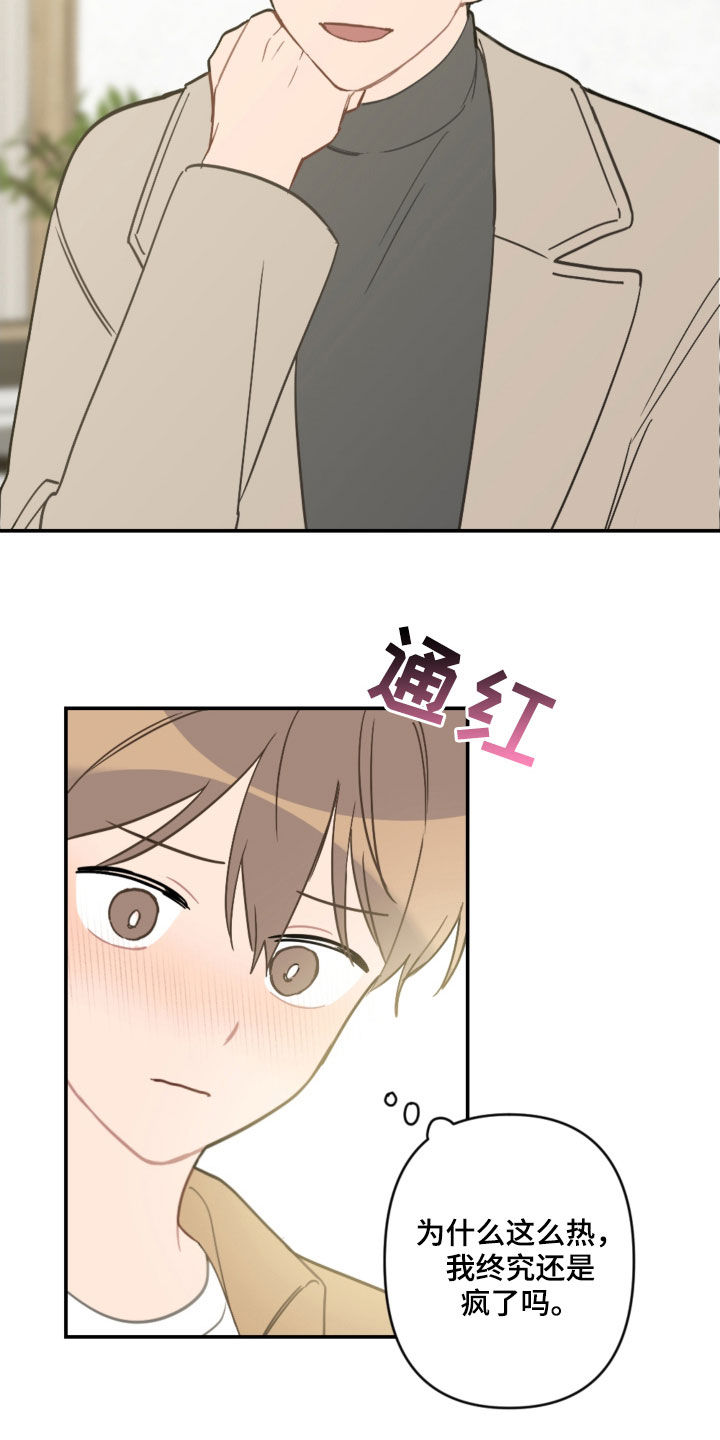 第63章：未来计划6