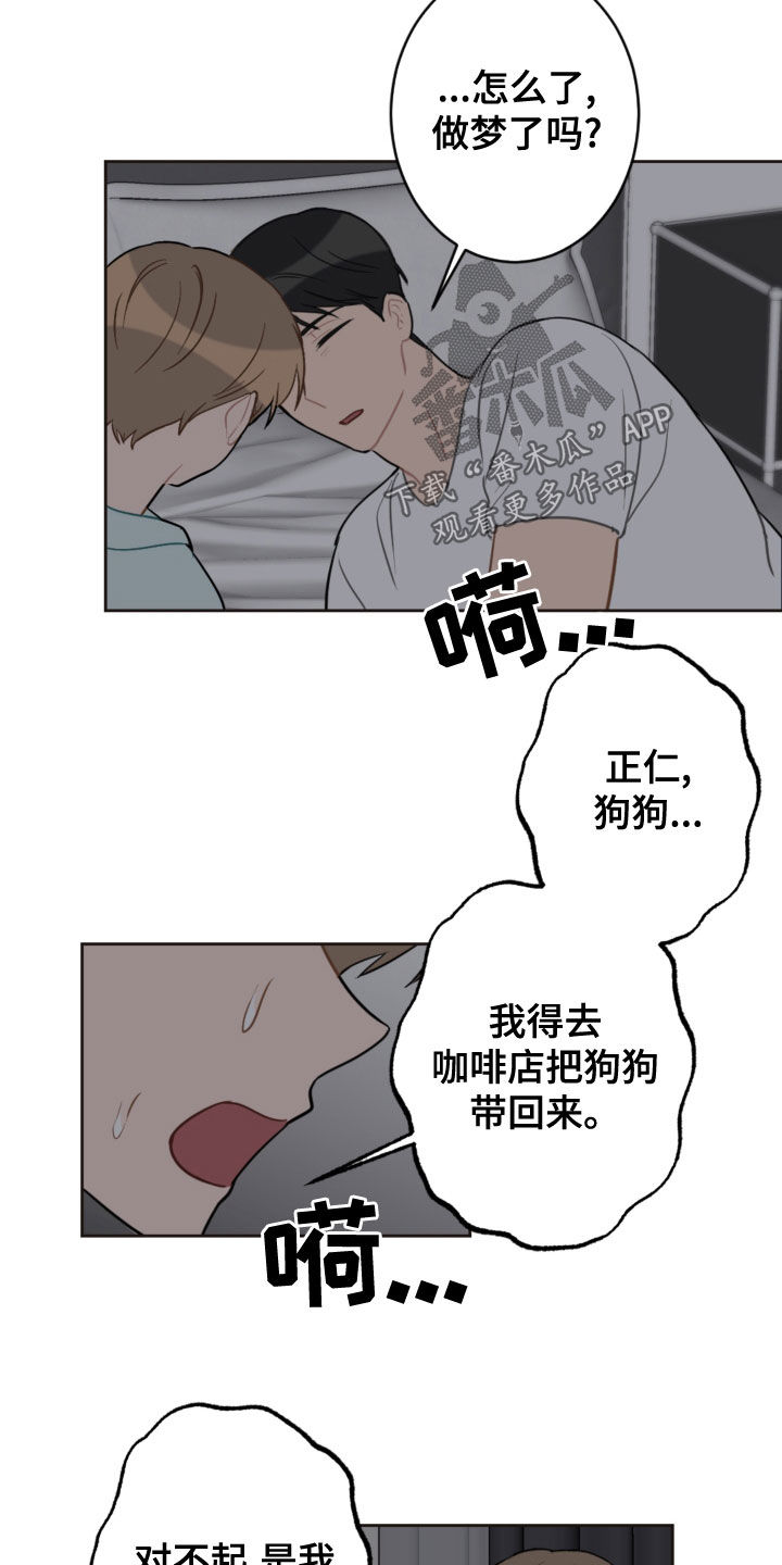 第117章：救助狗狗11