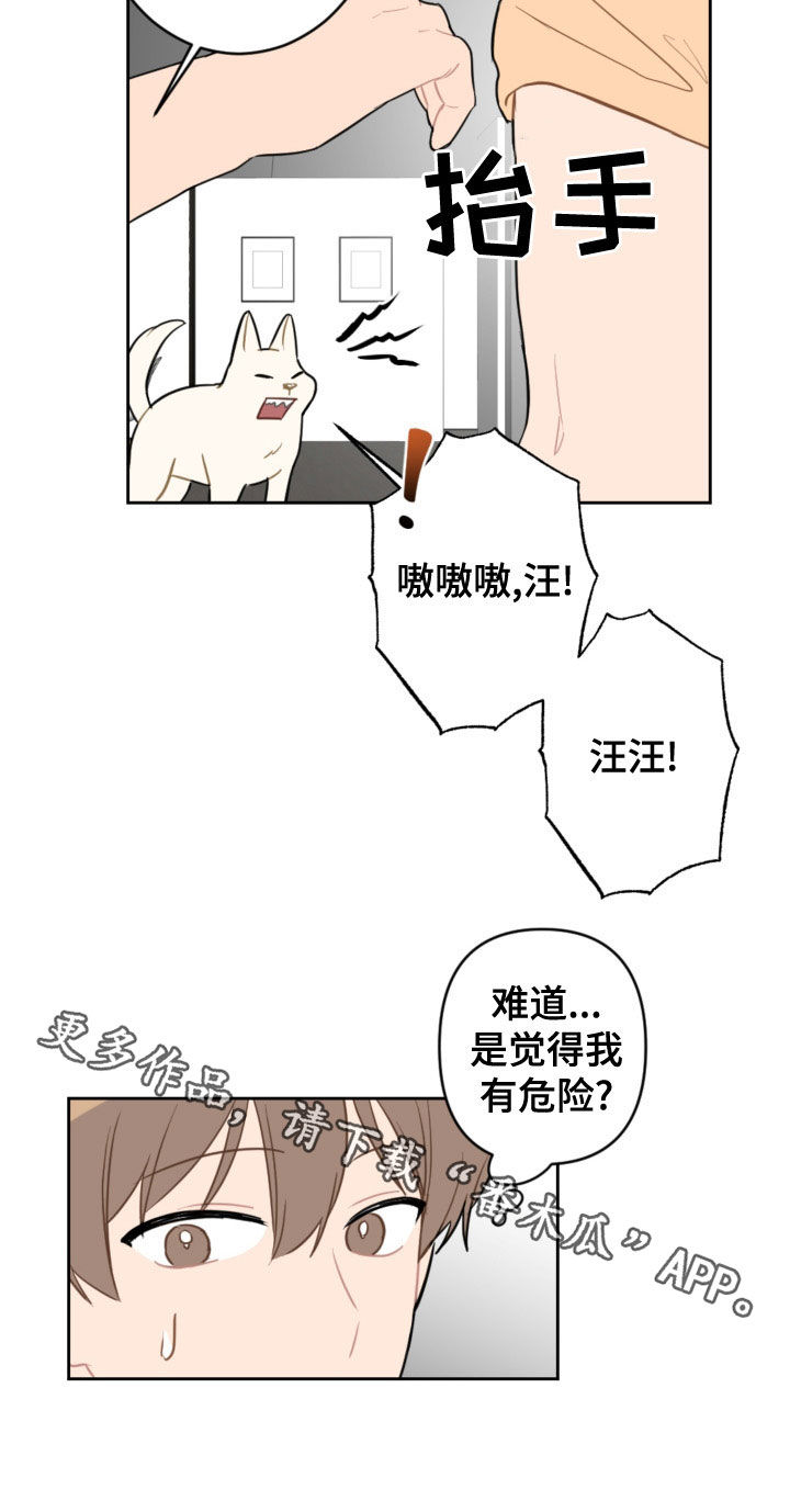 第120章：护主19