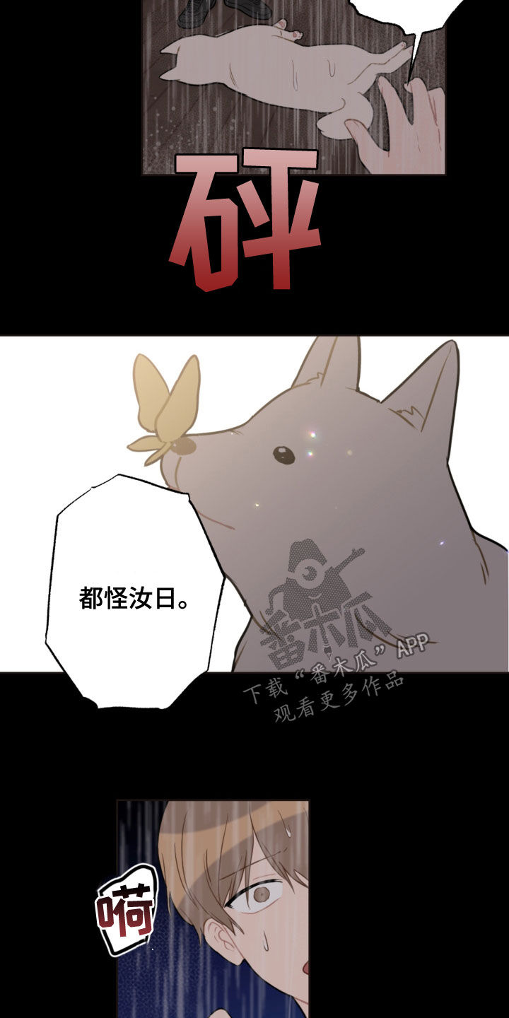 第117章：救助狗狗7