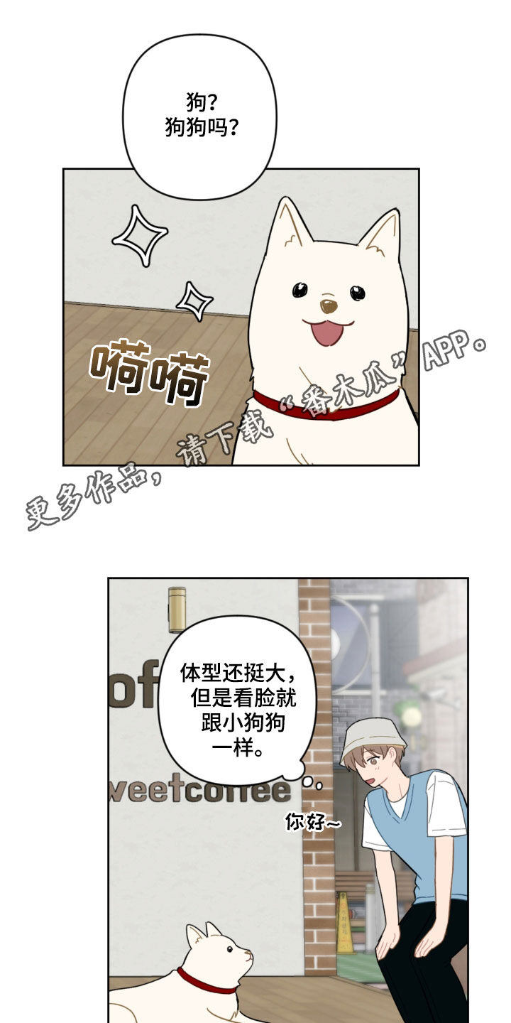 第104章：名字0