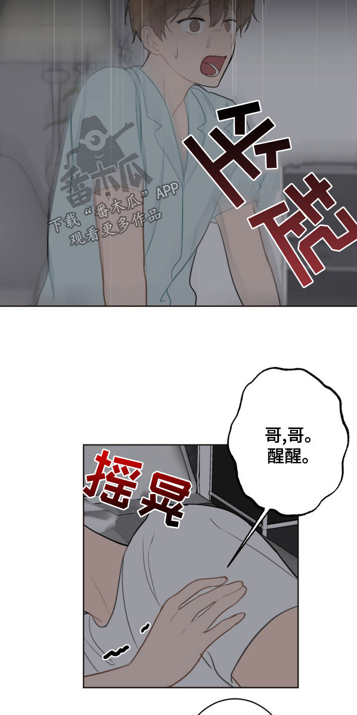 第117章：救助狗狗10