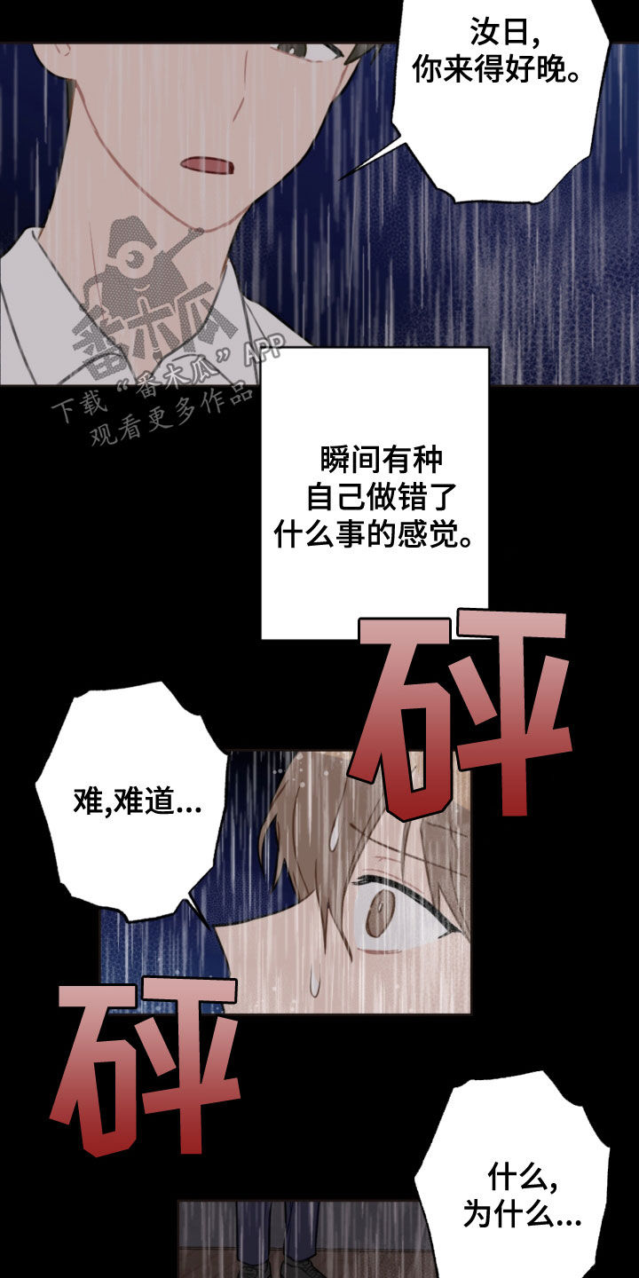 第117章：救助狗狗6