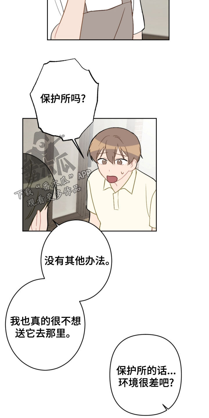 第113章：终极武器5