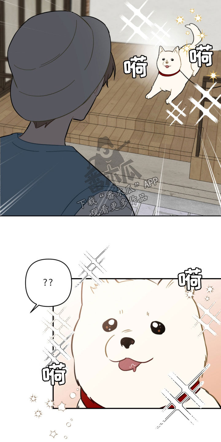 第103章：解决方法19