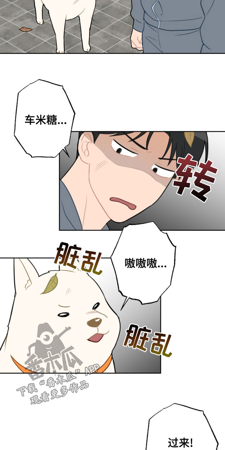 第123章：过生日16