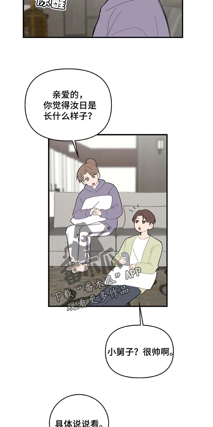 第31章：特征16
