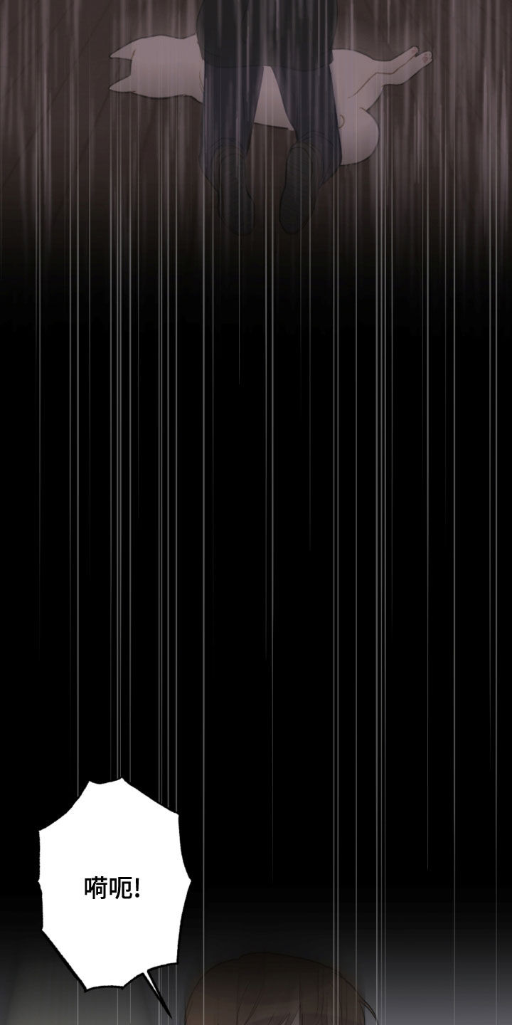 第117章：救助狗狗9