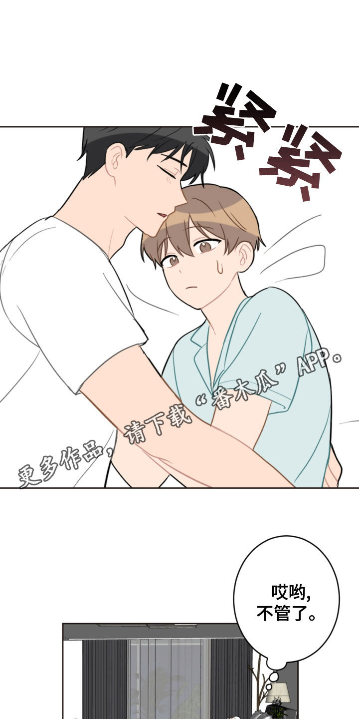 第117章：救助狗狗0