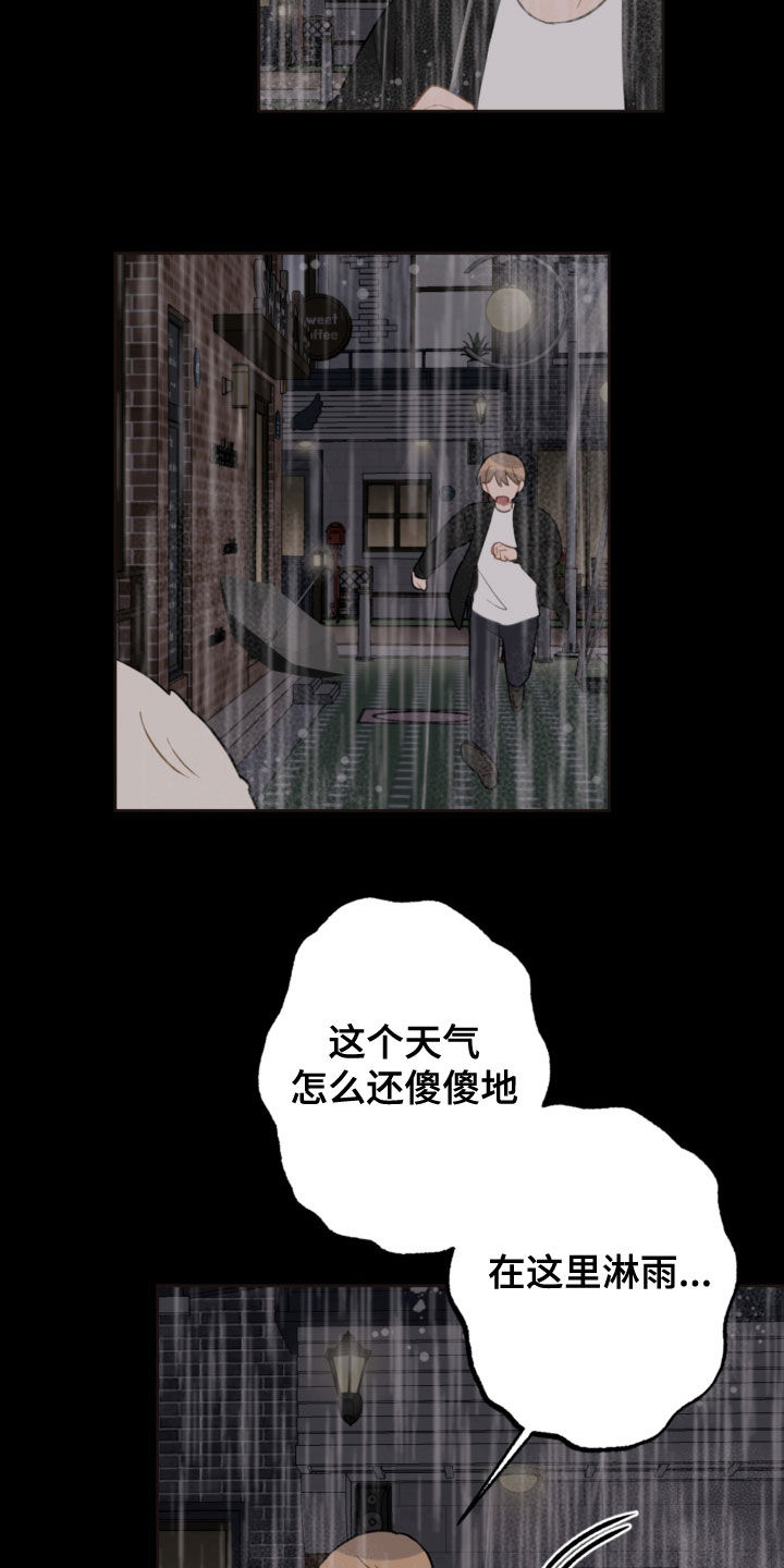 第117章：救助狗狗4