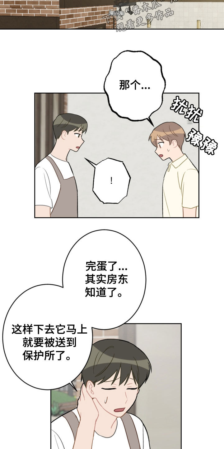 第113章：终极武器4