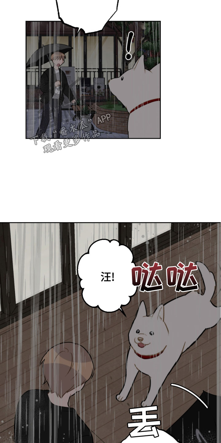 第118章：开车15