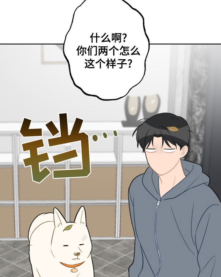 第123章：过生日15