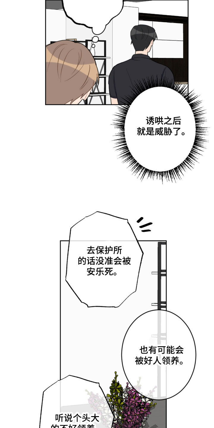 第114章：忘记的约定4