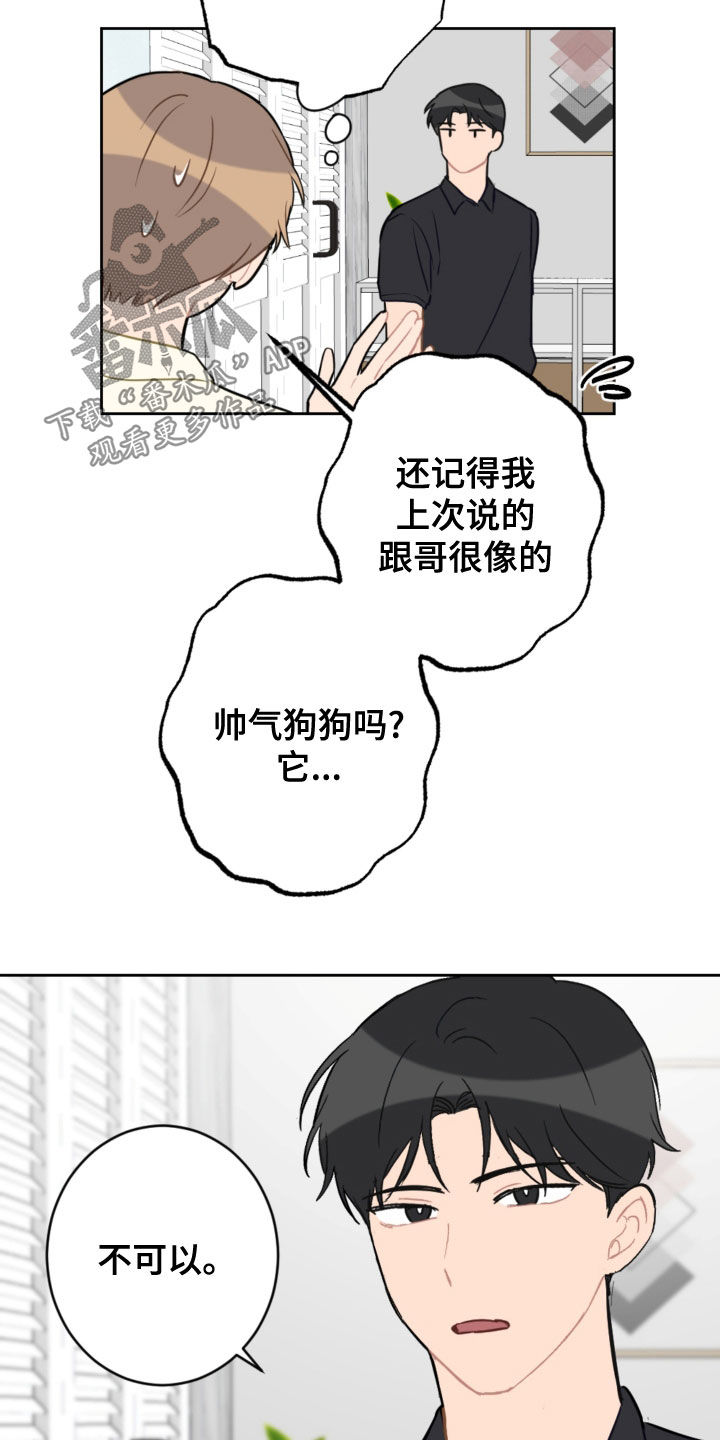 第113章：终极武器2