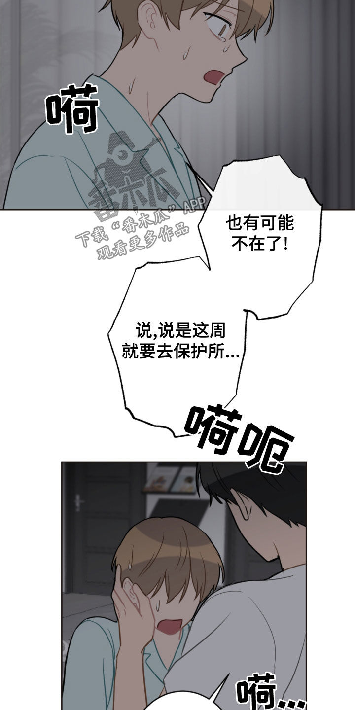 第117章：救助狗狗13
