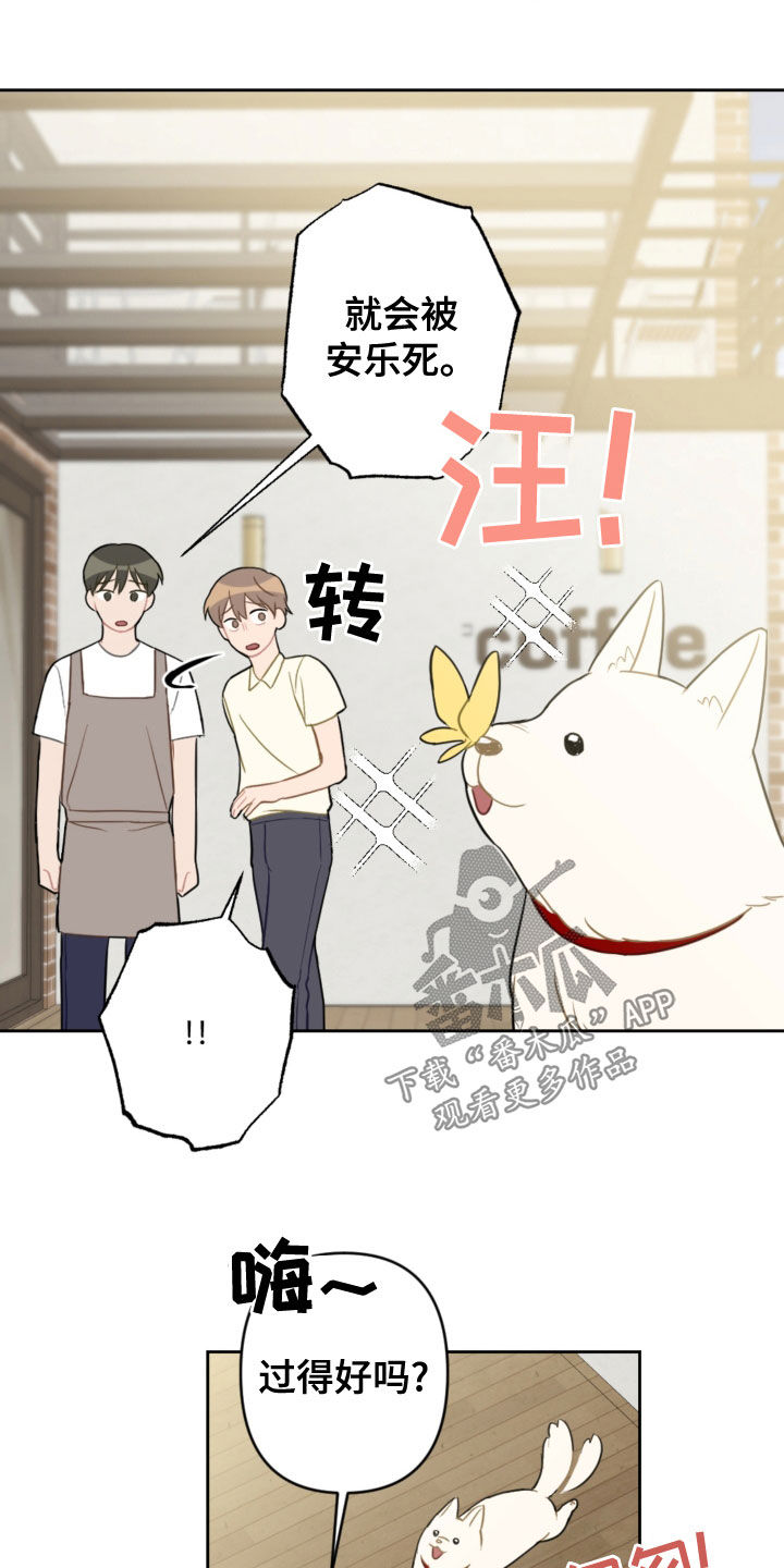第113章：终极武器7