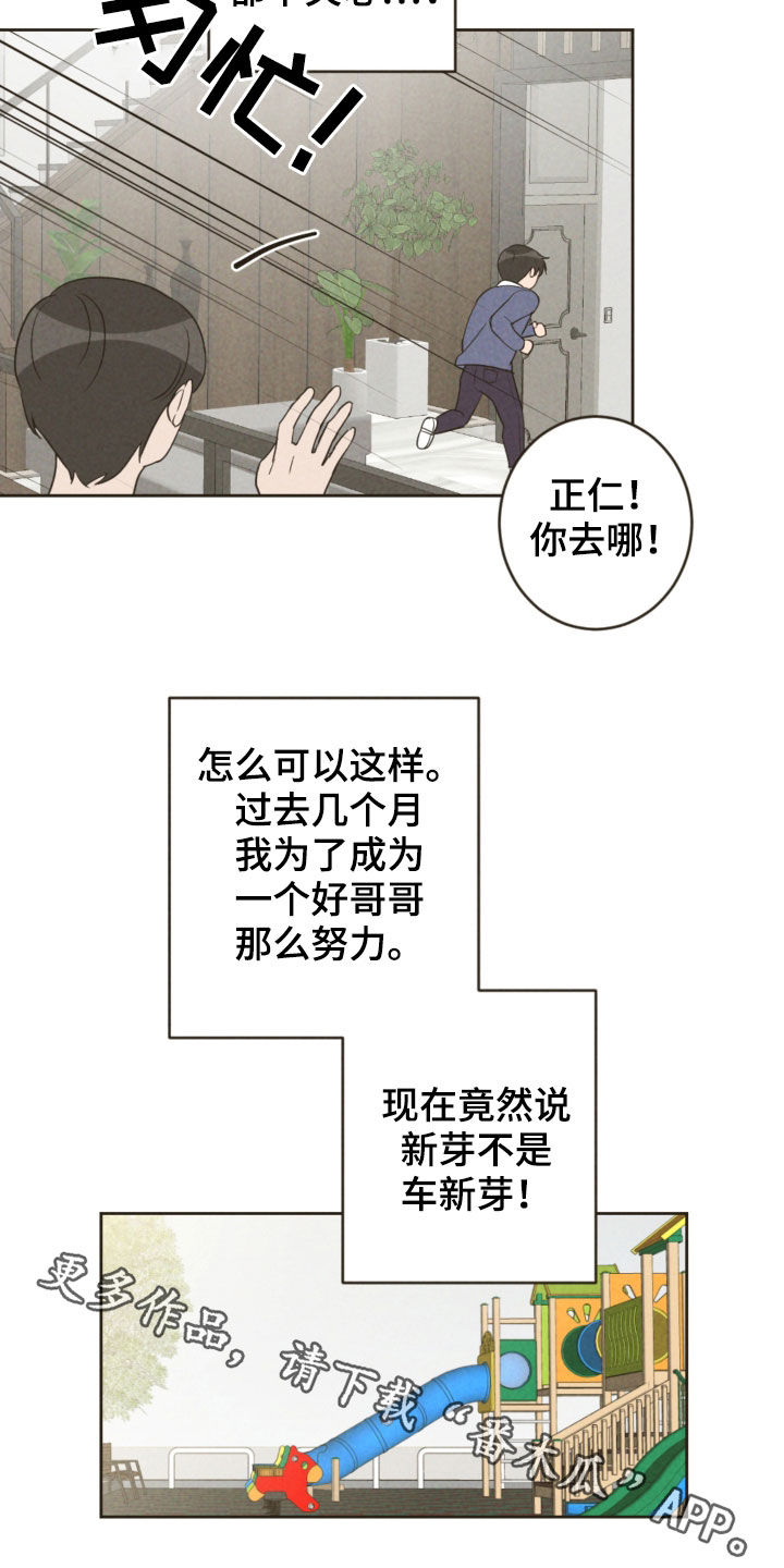 第90章：弟弟之争17