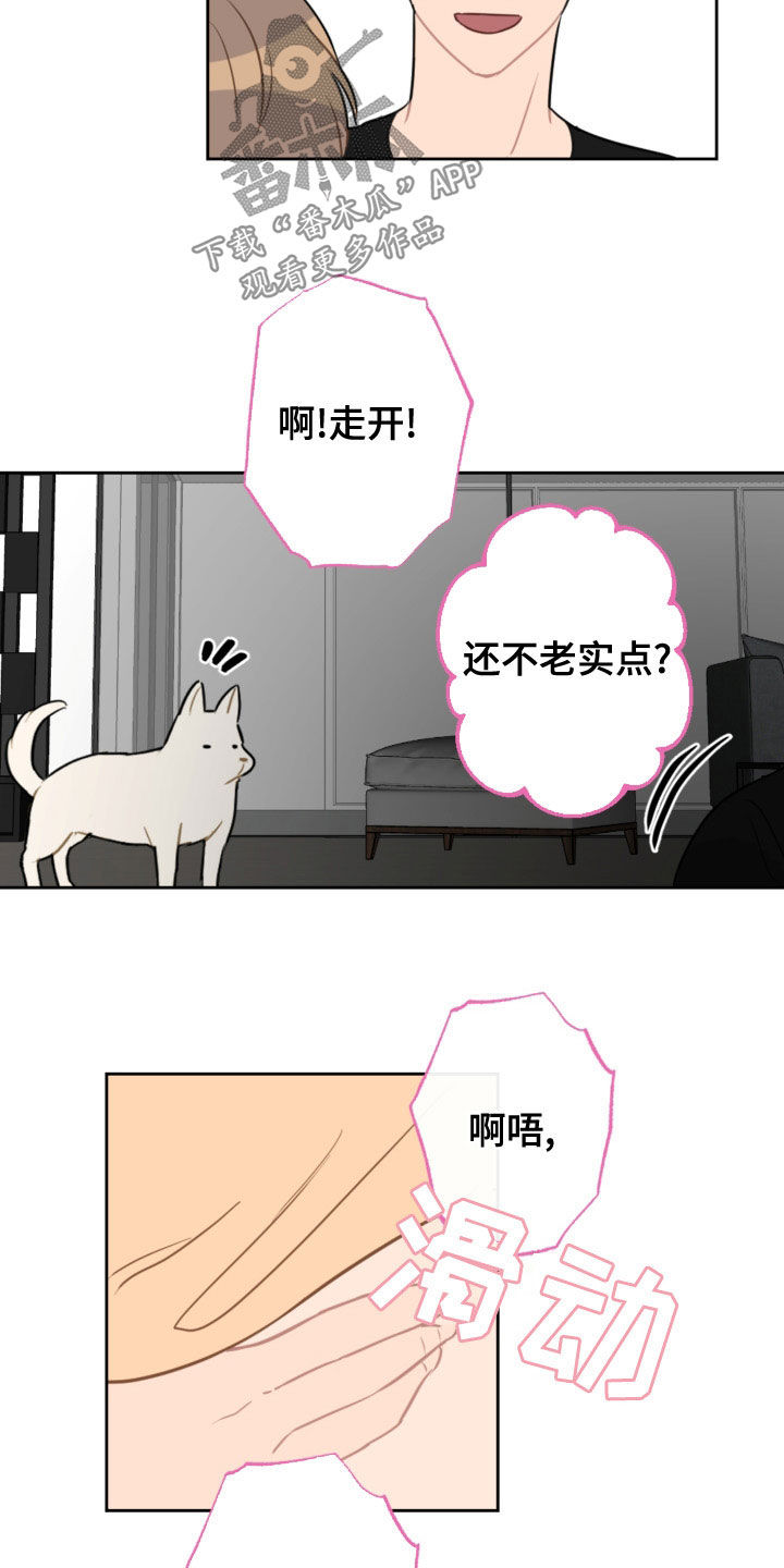 第120章：护主16