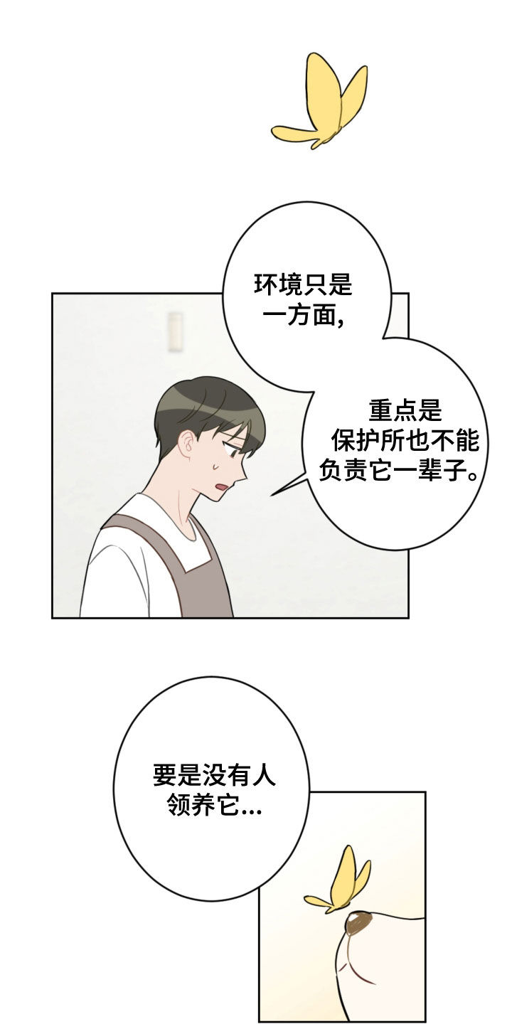 第113章：终极武器6