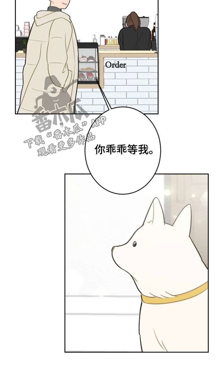 第127章：摆脱阴影（完结）17